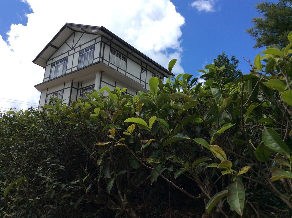 Tealeaf Bed and Breakfast Nuwara Eliya Exterior foto