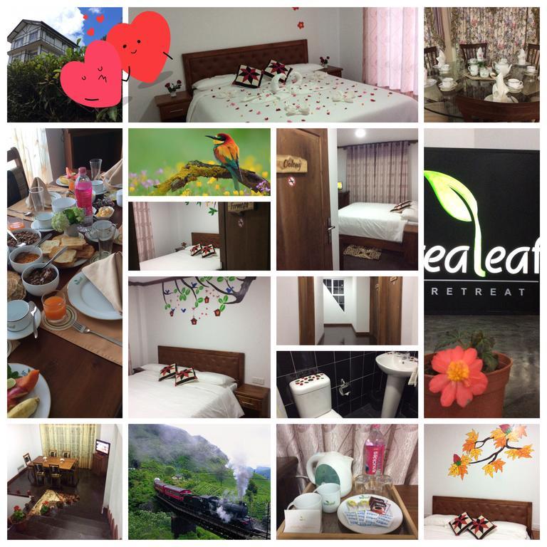 Tealeaf Bed and Breakfast Nuwara Eliya Exterior foto