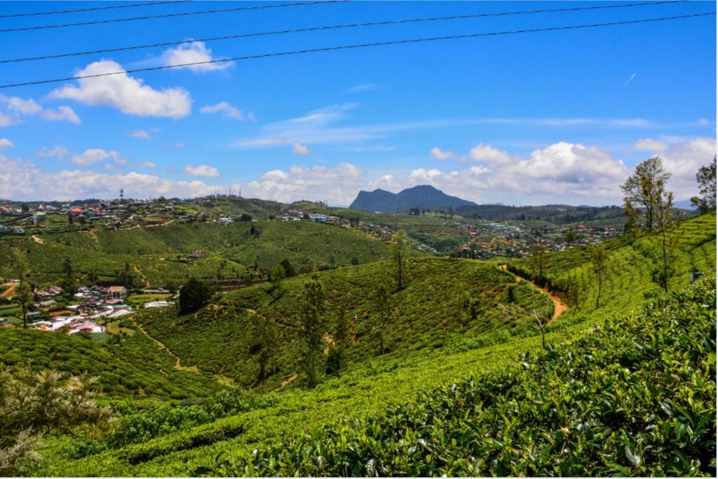 Tealeaf Bed and Breakfast Nuwara Eliya Exterior foto